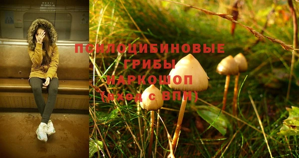 ПСИЛОЦИБИНОВЫЕ ГРИБЫ Баксан
