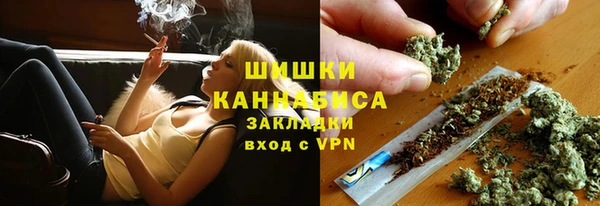 ПСИЛОЦИБИНОВЫЕ ГРИБЫ Баксан