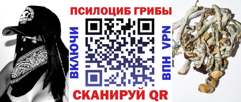 где купить   Рязань  нарко площадка как зайти  Галлюциногенные грибы Magic Shrooms 